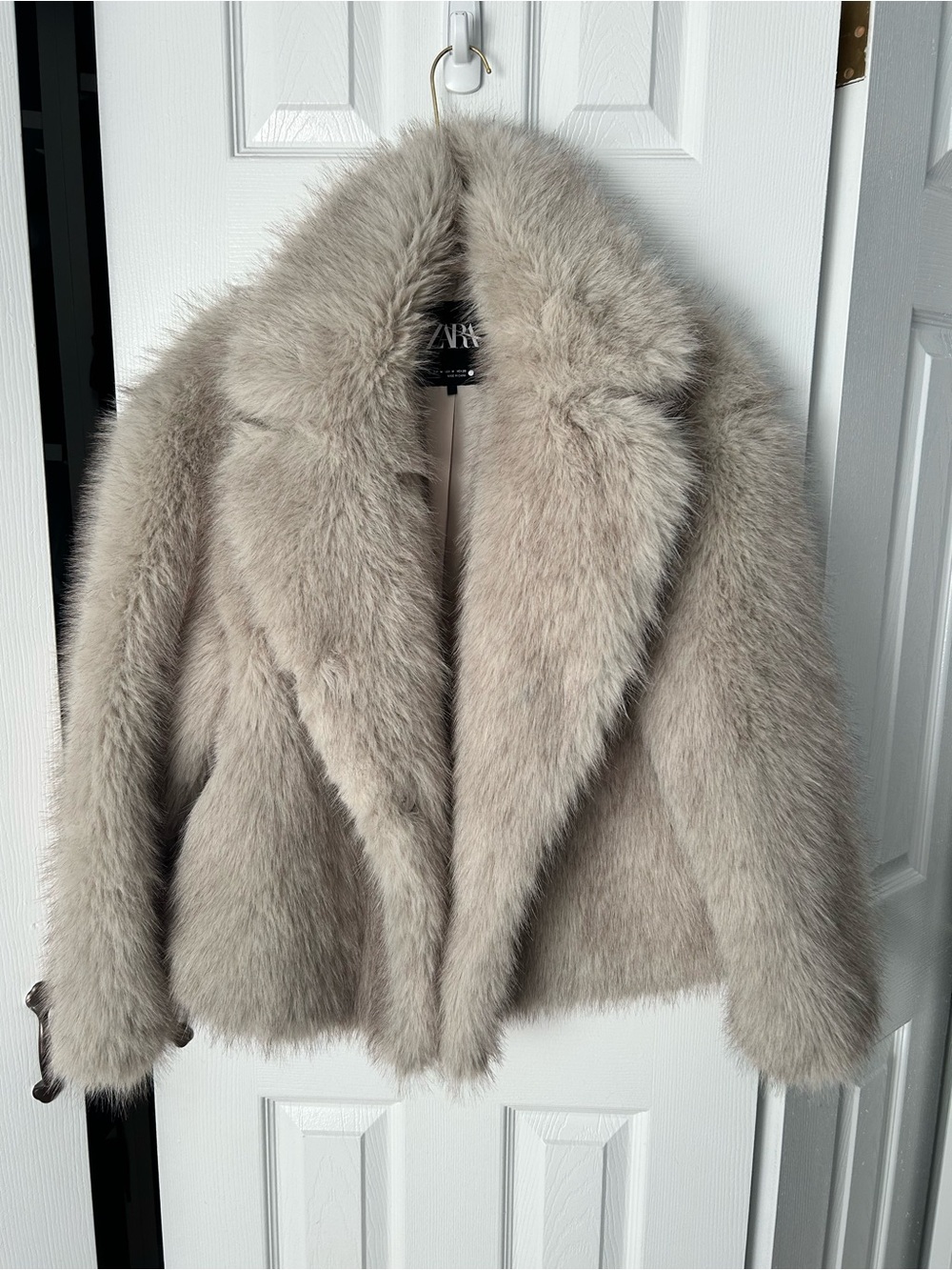 Zara Plush Faux Fur Teddy Jacket in Light Gray